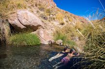 Purilibre Trekking: Disconnection and Nature