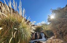 Purilibre Trekking: Disconnection and Nature