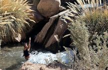 Purilibre Trekking: Disconnection and Nature
