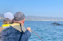 Whale Watching Experience in Puerto Vallarta