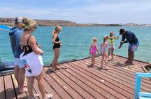 Snorkel Aruba's Vibrant Waters and Serene Mangroves Private Tour