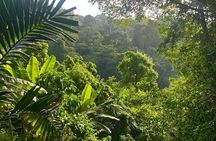 Dunns River Falls Mahogany Beach and Hilltop Lookout Tour