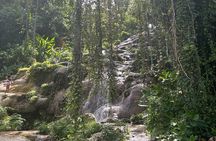 Dunns River Falls Mahogany Beach and Hilltop Lookout Tour