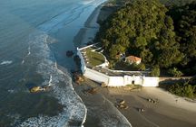Island of Honey with train