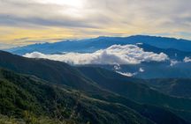 Roots of the Sierra