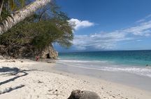 Private Tour to Quesera Beach – All-Inclusive from San José