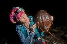 Bioluminescent Kayak Tour in Floridas Indian River Lagoon