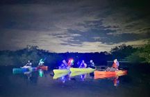 Bioluminescent Kayak Tour in Floridas Indian River Lagoon