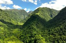Tahiti: Nature & Planting Immersion Day