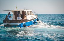Boat excursion with barbecue on board