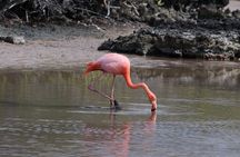  10 Day Galapagos Island Hopping - Full Galapagos Explorer