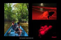 2 Tour Package - Canoe Tour and Turtle Nesting Tour 