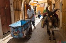Rabat to Fez day trip back Rabat