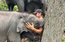 Chiang Mai 1 Day: Elephant Sanctuary, Waterfall & Bamboo Rafting