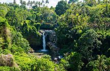 Bali: Ubud Kintamani volcano All-Inclusive Tour