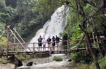 ChiangMai 1DayTour:Elephant Sanctuary,king&queen pagoda,waterfall