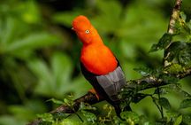 Adventure Manu National Park 4 Days in Cuzco