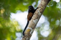 Adventure Manu National Park 4 Days in Cuzco