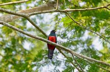 Adventure Manu National Park 4 Days in Cuzco