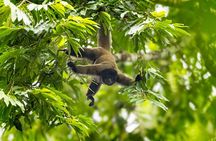 Adventure Manu National Park 4 Days in Cuzco