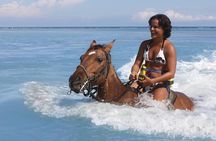 ATV Safari and Horseback Riding Adventure Combo Tour Montego Bay