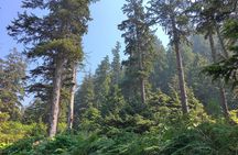 Private Northern Oregon Coast Tour