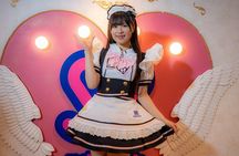 Akihabara Anime & Gaming Adventure Walking Tour