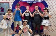 Akihabara Anime & Game Adventure Walking Tour (Group or Private)