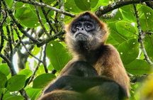 Monteverde Cloud Forest small group tour