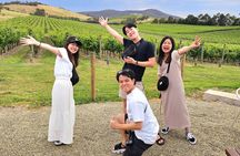 Small Group Yarra Valley: Redwoods Forest & Premium Wine Tour 