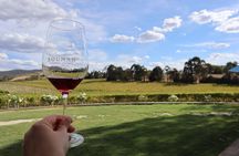 Small Group Yarra Valley: Redwoods Forest & Harvest Tour