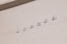 Royal Experience - Private Tour in World's Oldest Diamond Polishing Factory 