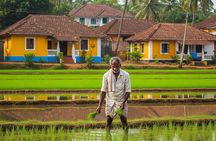 Chorao Unplugged – A Soulful Island Getaway