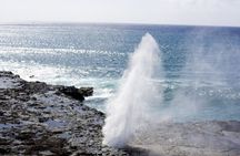 Scenic Full Day Circle Island Tour-Snorkeling/Breakfast/Byodo-in