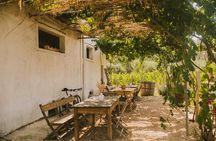 Corfu E bike Tours Adventure Culture, and Wine Tasting