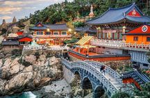 Busan Private Custom Tour Half Day or Full Day