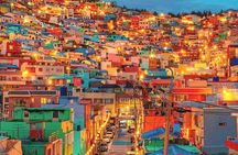 Busan Private Custom Tour Half Day or Full Day