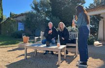 Half Day Vineyards & Wine Tasting from Aix en Provence