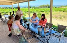 Half Day Vineyards & Wine Tasting from Aix en Provence