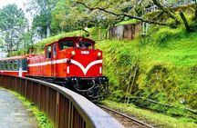 Alishan Scenic One Day guided Tour from Taichung