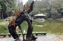 Alishan Scenic One Day guided Tour from Taichung