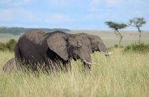 Nairobi Private Multi-day Tours to Nairobi