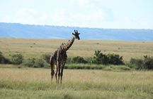 Nairobi Private Multi-day Tours to Nairobi