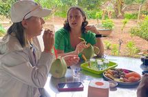 Private Mekong Orchard Visit Non Tourist
