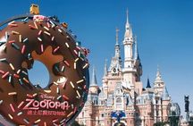 Shanghai Disneyland Private Group One-day Trip