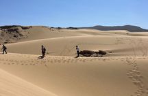 Timlaline Sandboarding Adventure and Colorful Village Tour