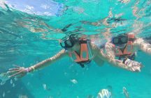 Jungle Tour and Mayan Experience in Cancun with Lunch