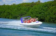 Jungle Tour and Mayan Experience in Cancun with Lunch