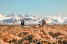 Goat Walk