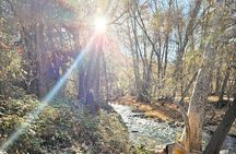 Sedona Sightseeing Tour